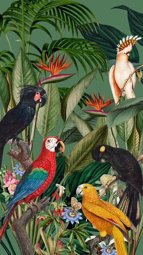 Exotic birds jungle iPhone wallpaper. Remixed by rawpixel.