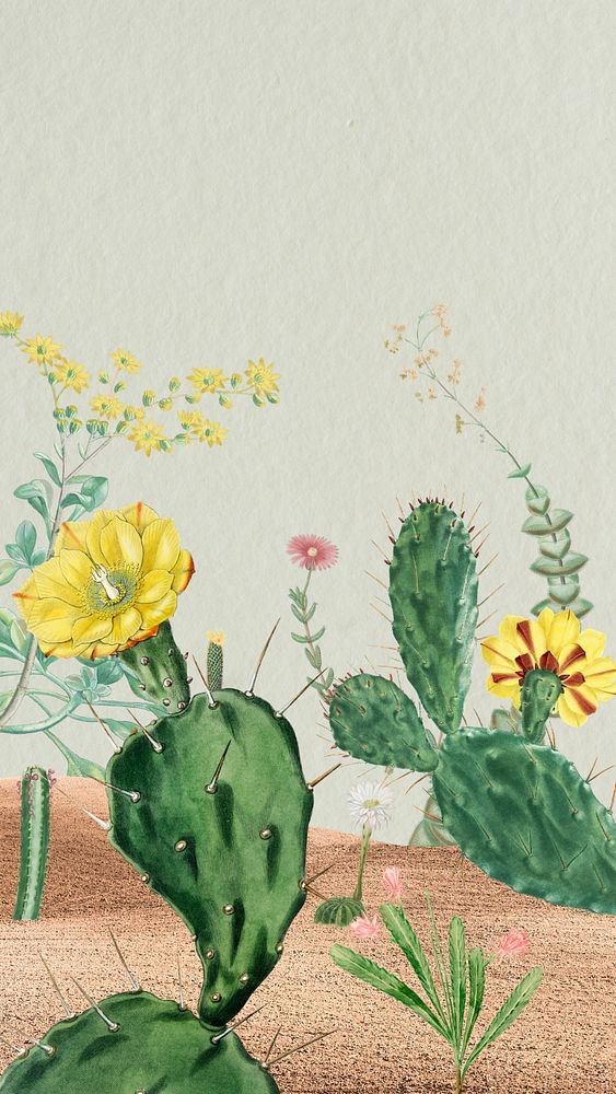 Wild cactus iPhone wallpaper, vintage illustration. Remixed by rawpixel.