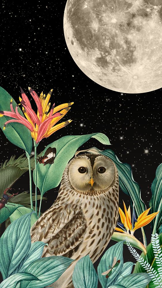 Night owl iPhone wallpaper, vintage animal illustration. Remixed by rawpixel.