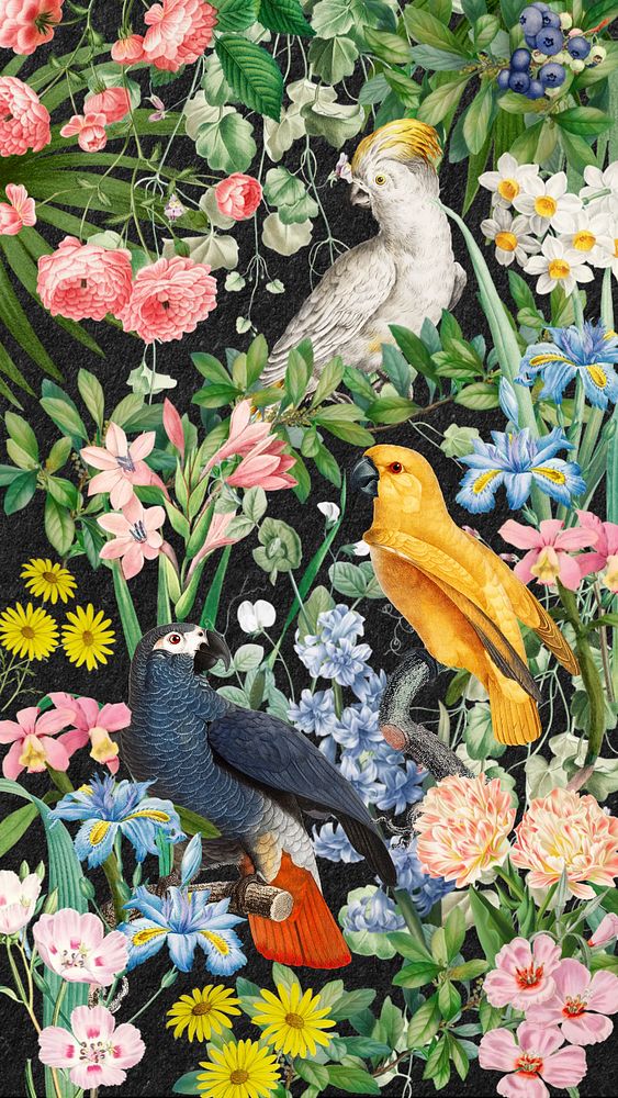 Exotic birds iPhone wallpaper, vintage animal illustration. Remixed by rawpixel.