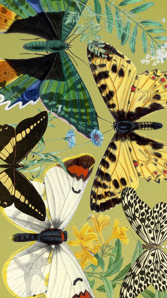 Exotic butterflies iPhone wallpaper, vintage illustration. Remixed by rawpixel.