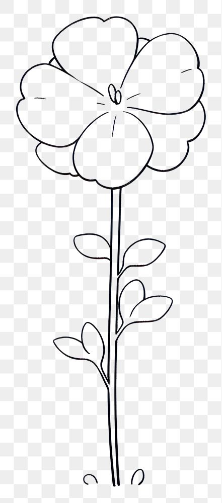 PNG Stock flower illustrated drawing blossom.