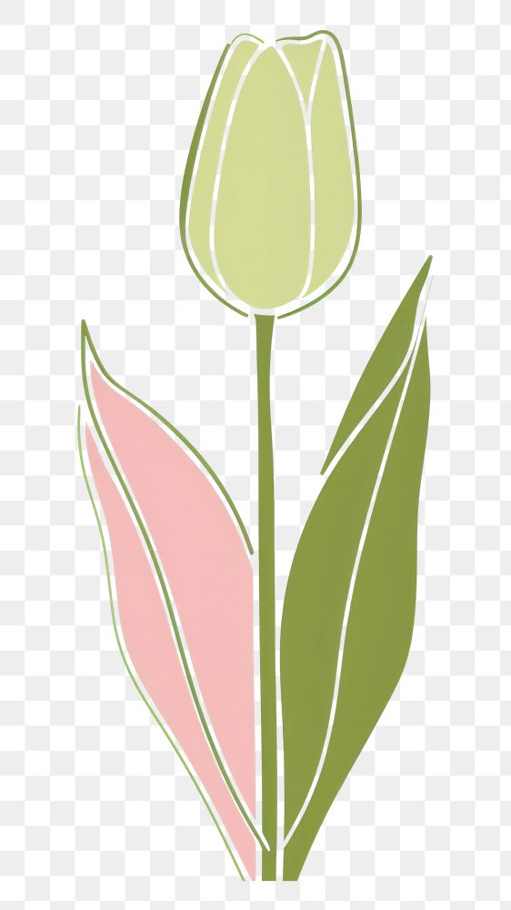 PNG Funky cute vector tulip blossom flower plant.
