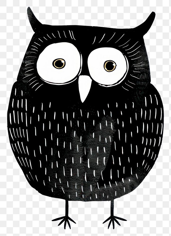 PNG Art owl illustrated blackbird.