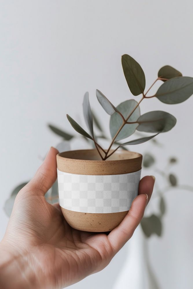 PNG potted plant craft label mockup, transparent design