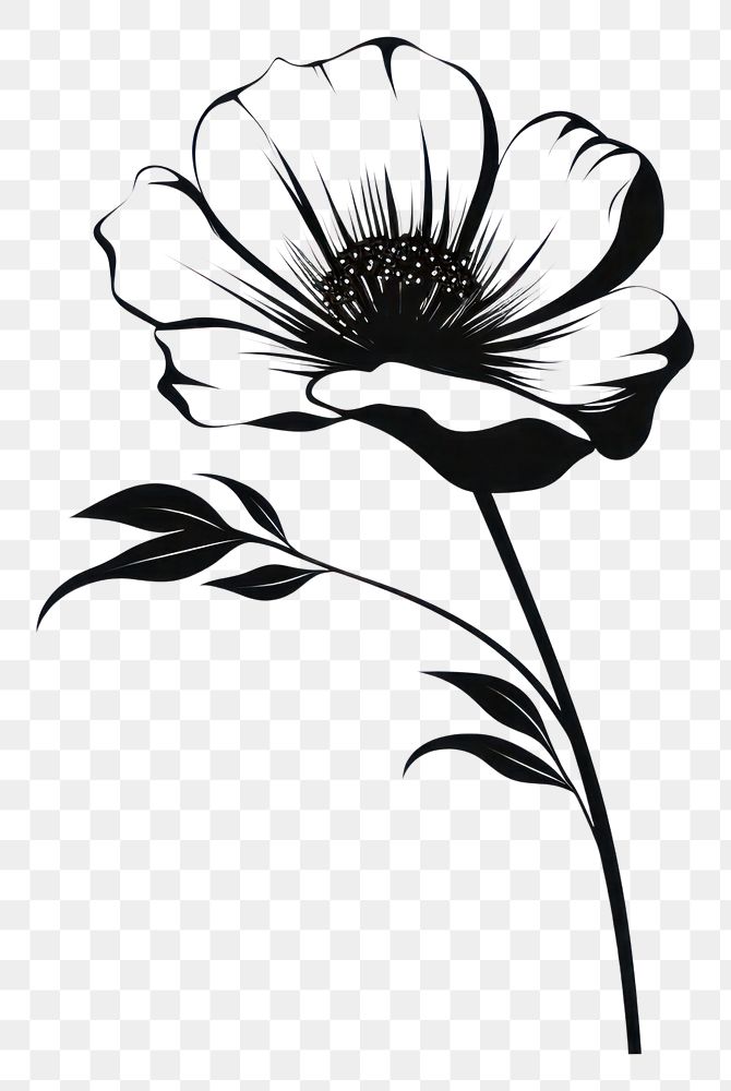 PNG A flower silhouette art illustrated asteraceae.