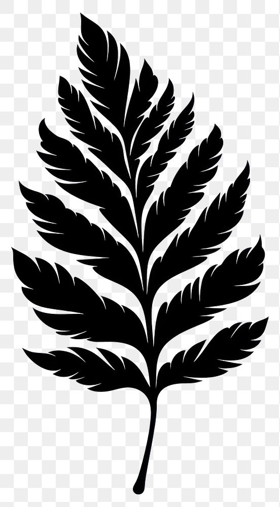 PNG Leaf silhouette stencil plant.