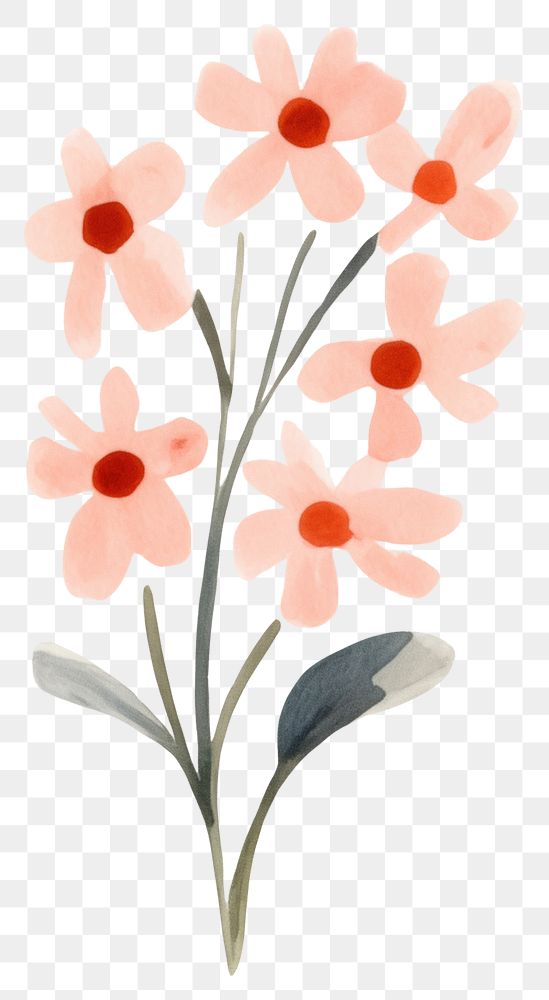 PNG Watercolor floral flower illustrated graphics.