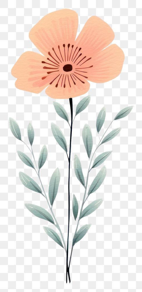PNG Watercolor floral flower graphics blossom.