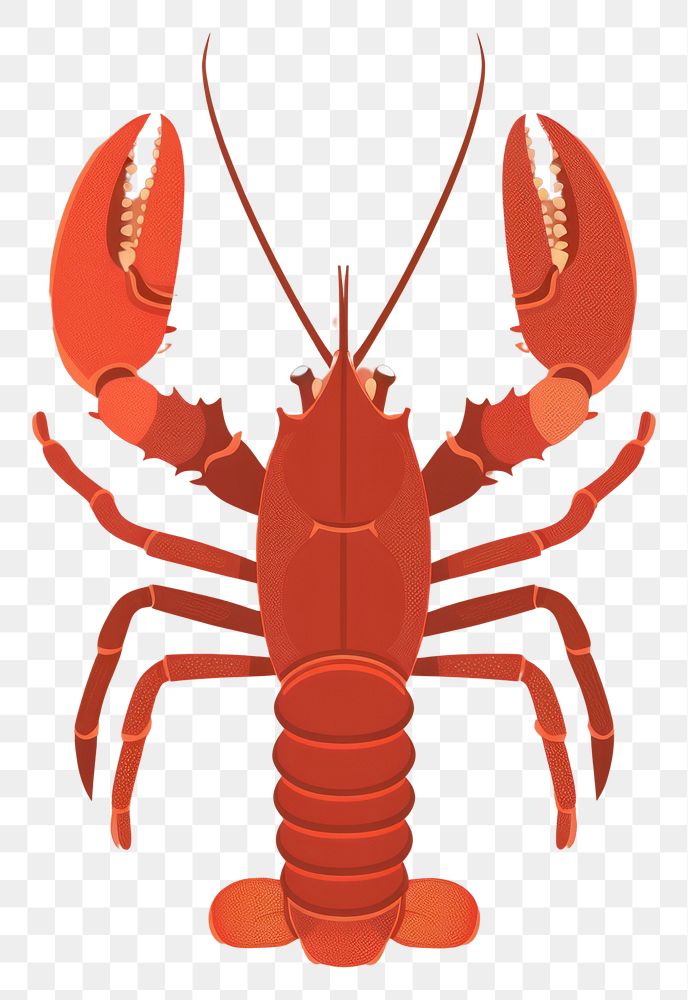 PNG Lobster invertebrate seafood crawdad.