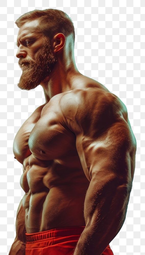 PNG Muscular man person adult human.