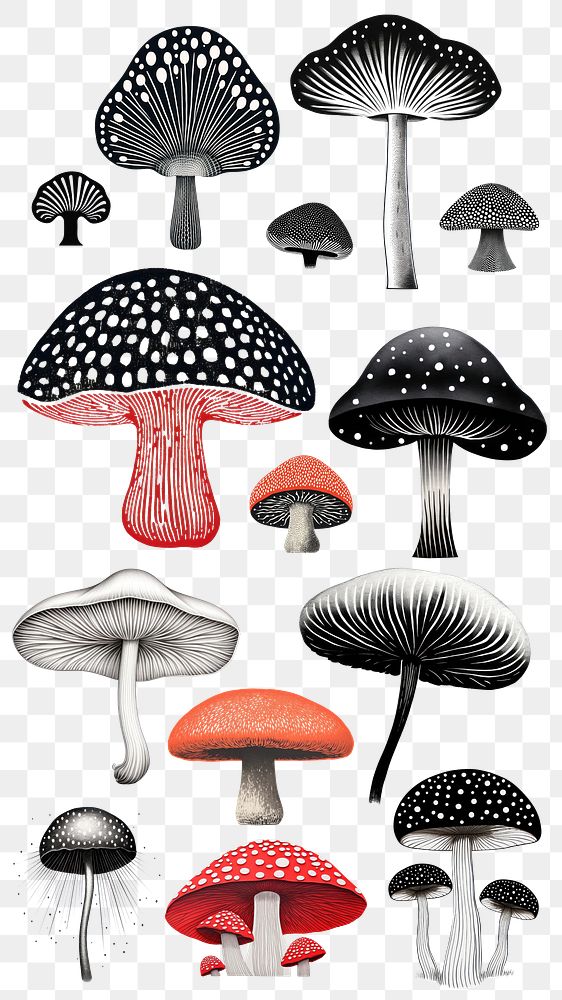 Psychedelic pointillism illustration of mushroom png cut out set