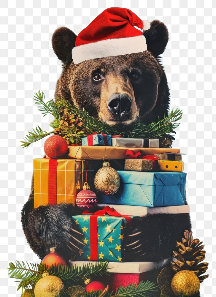PNG Bear christmas bear accessories.