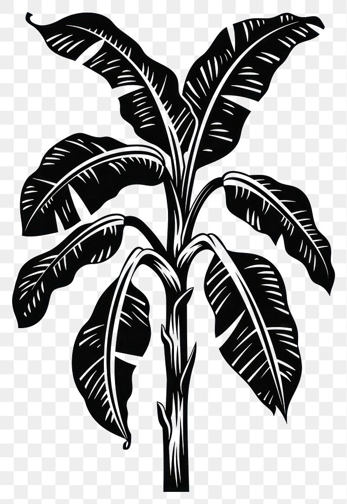 PNG Banana tree stencil animal plant.