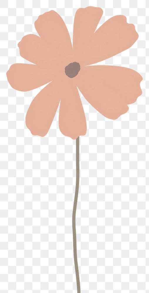 PNG Illustration of a simple flower asteraceae blossom anemone.