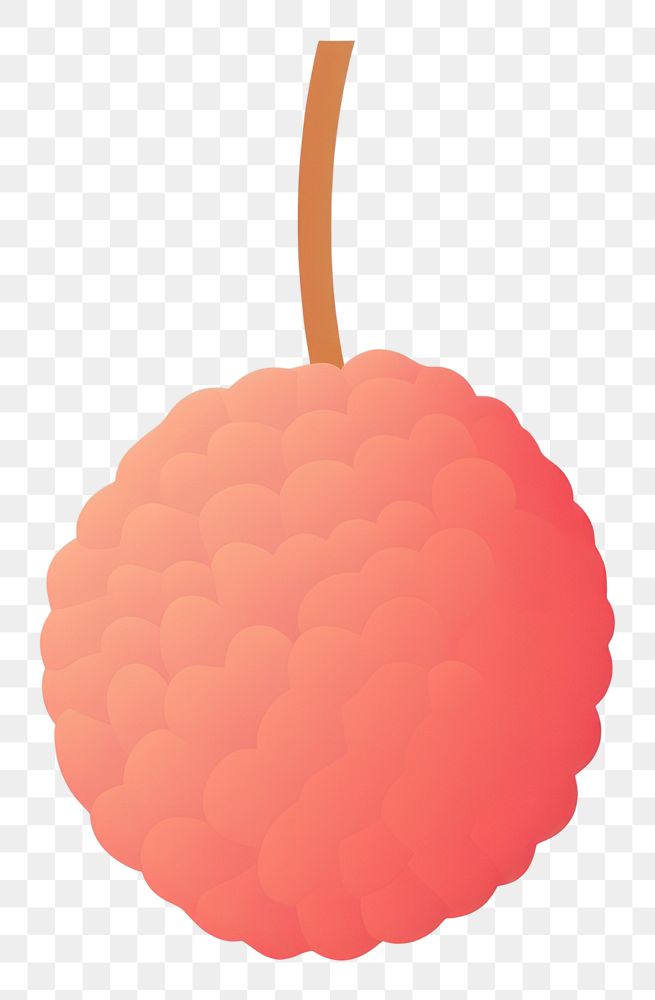 PNG Illustration of a simple lychee raspberry produce fruit.