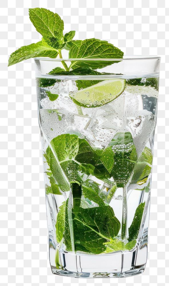 PNG Refreshing mint lime sparkling water