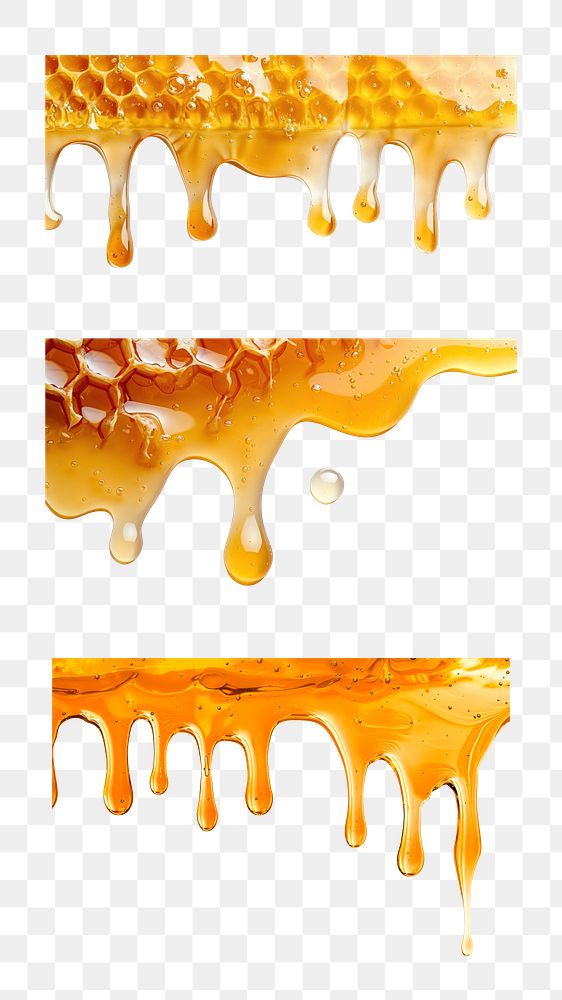 PNG Melting honey border set, transparent background