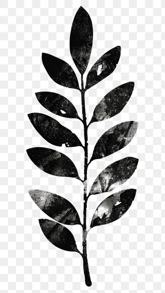 PNG black and white vectors silhouette of *leaf plant shape* brush stroke, simple clean and clear, isolated on white…