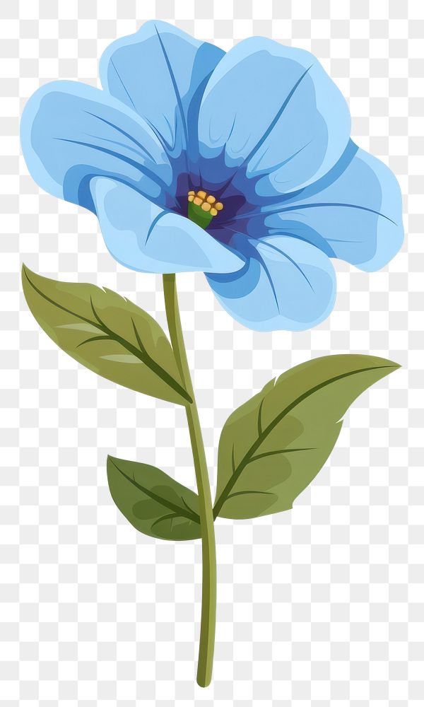 PNG Blue flower art asteraceae geranium.