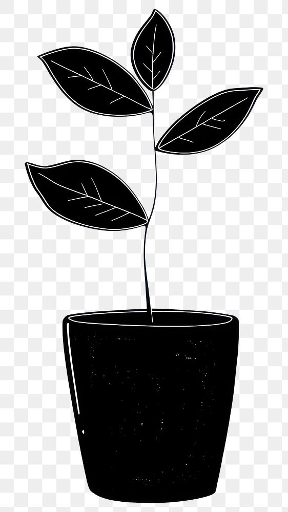 PNG Minimalist potted plant illustration