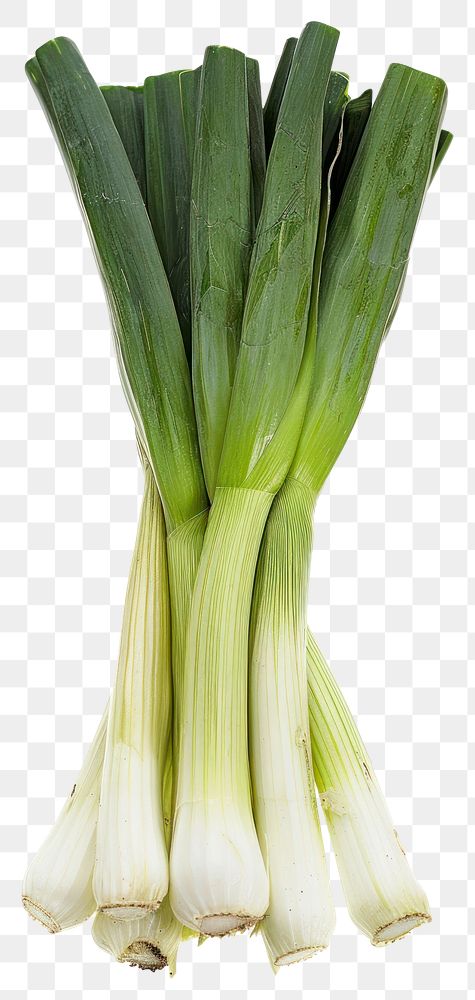 PNG  Fresh green organic leeks bunch