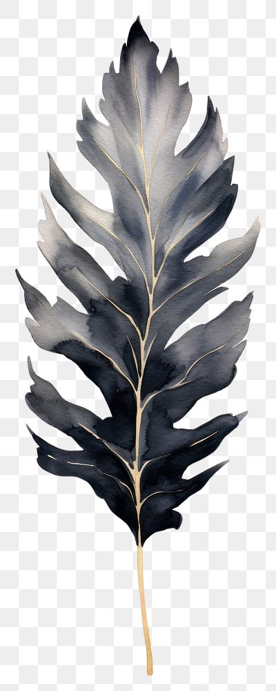 PNG Black color leaf plant | Free PNG - rawpixel