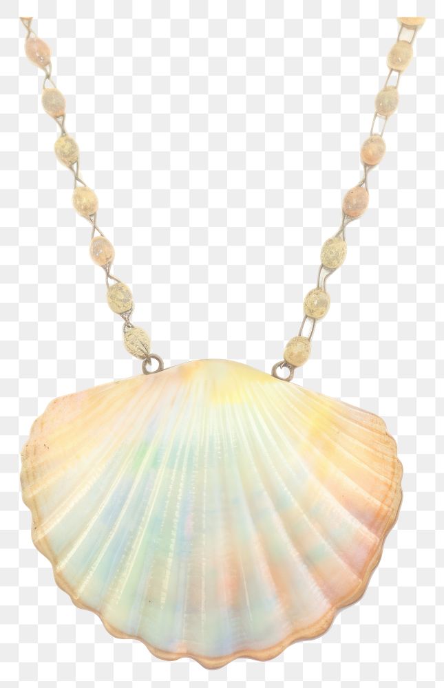 PNG Elegant seashell pendant necklace