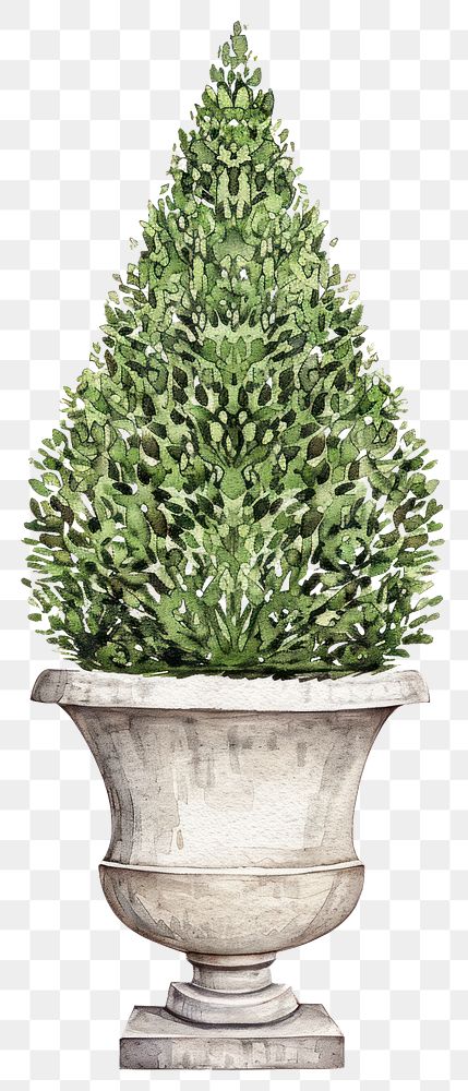 PNG Elegant potted topiary illustration art