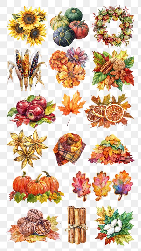 PNG autumn harvest element set, transparent background