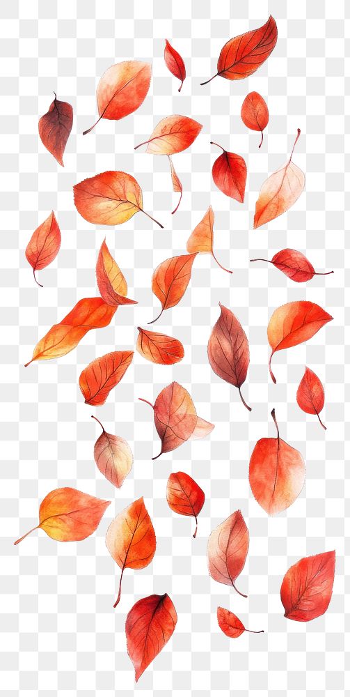 PNG Autumn leaves leaf fall illustration.