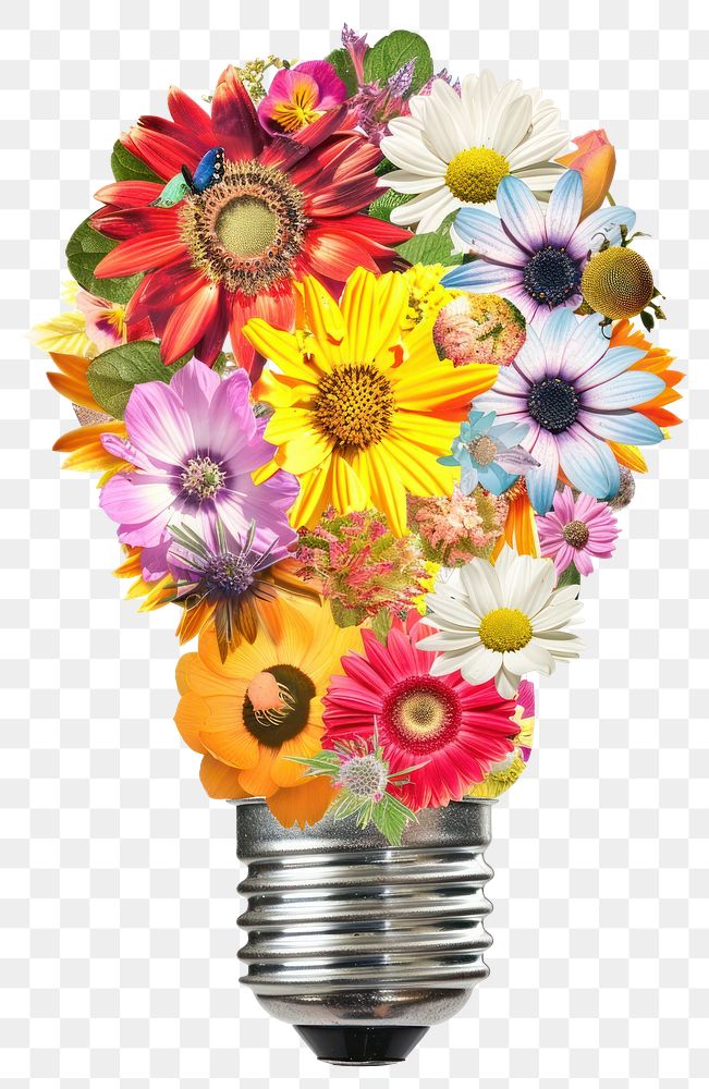 PNG Flower Collage Light bulb flower light asteraceae.