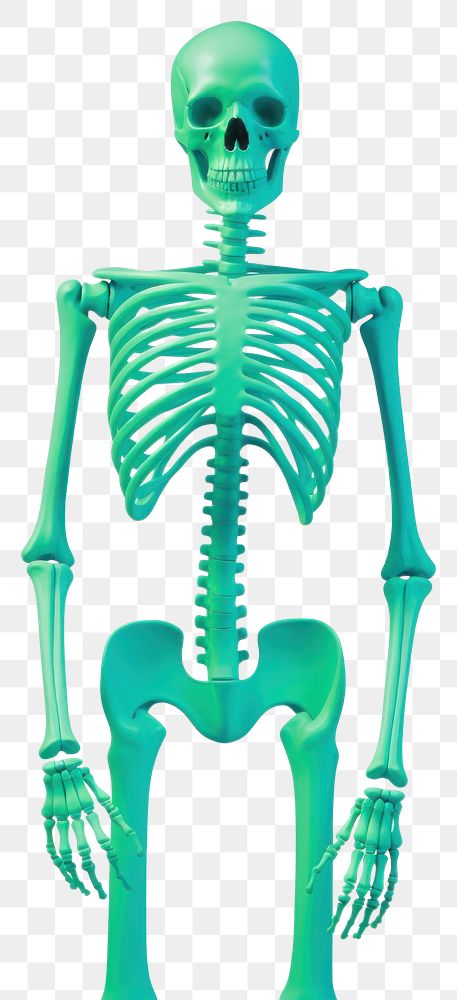 PNG Skeleton man peaking illustration colorful skeletal.