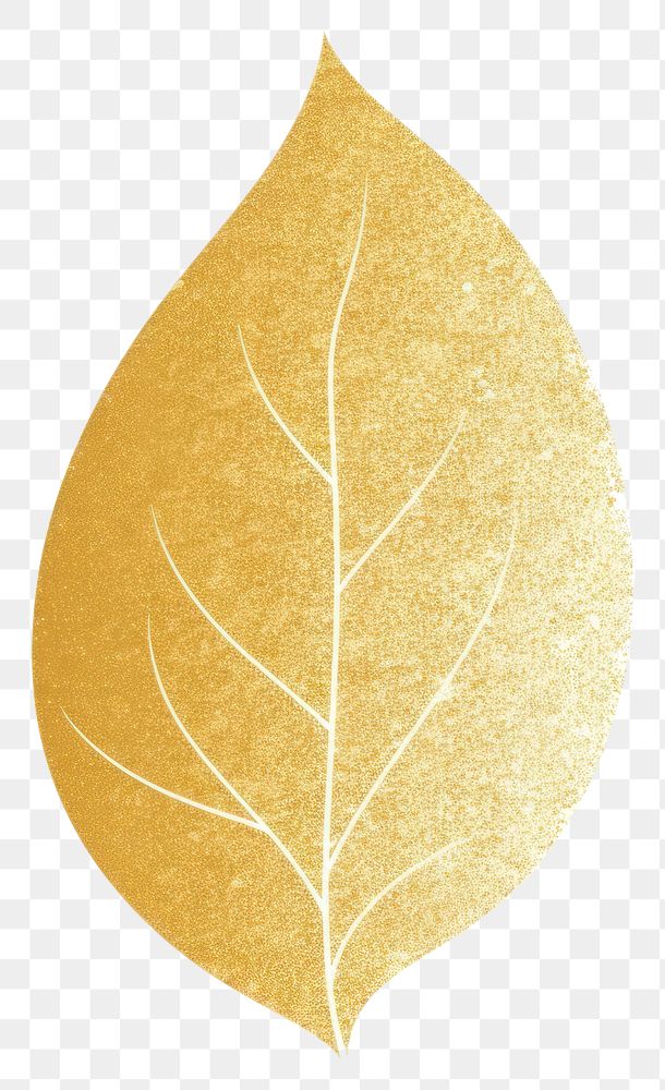 PNG  Glitter gold leaf icon nature plant white background.