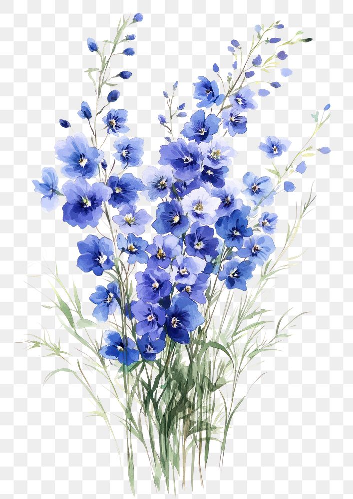 PNG  Small bouquet of Delphiniums in grass art illustration watercolor.