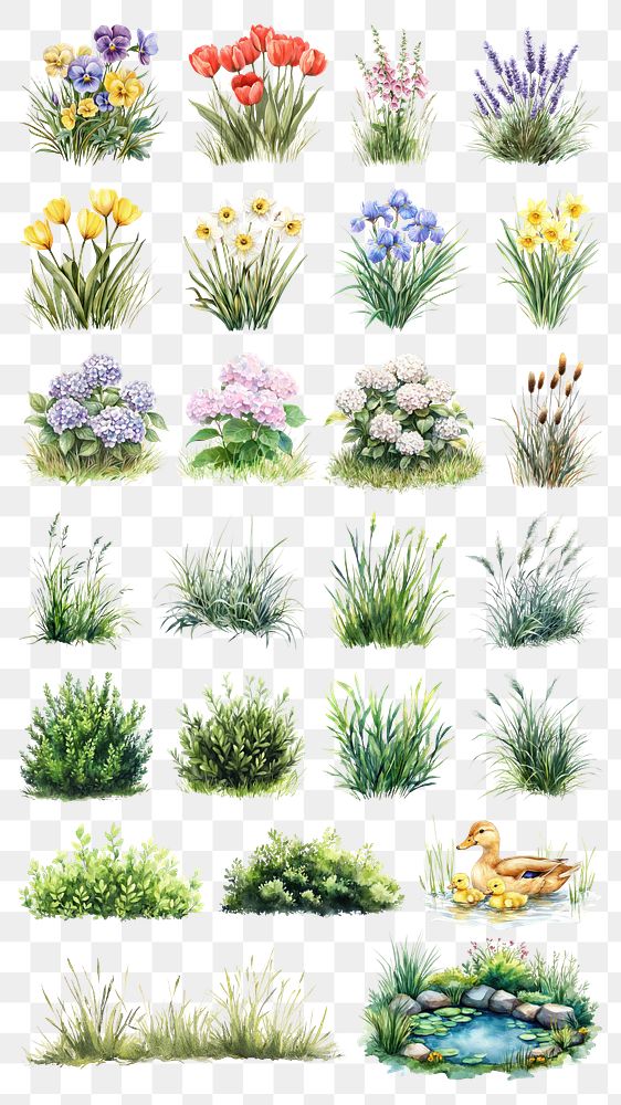 PNG spring garden element set, transparent background