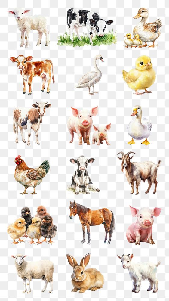 PNG Farm animals design element set, transparent background