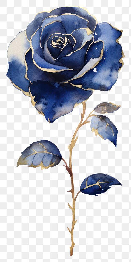 PNG Indigo rose flower plant white background.