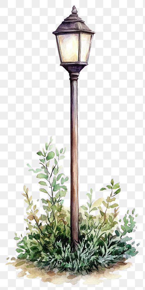 PNG Pole illustration watercolor garden.