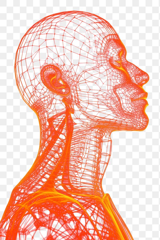 PNG Human body wireframe design illustration.