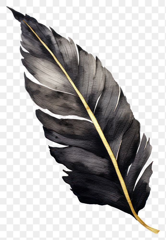 PNG Black color leaf plant | Free PNG - rawpixel