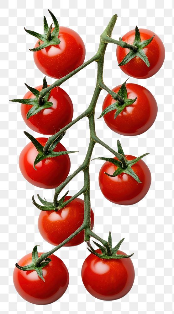 PNG Cherry tomatoes vegetable produce organic.