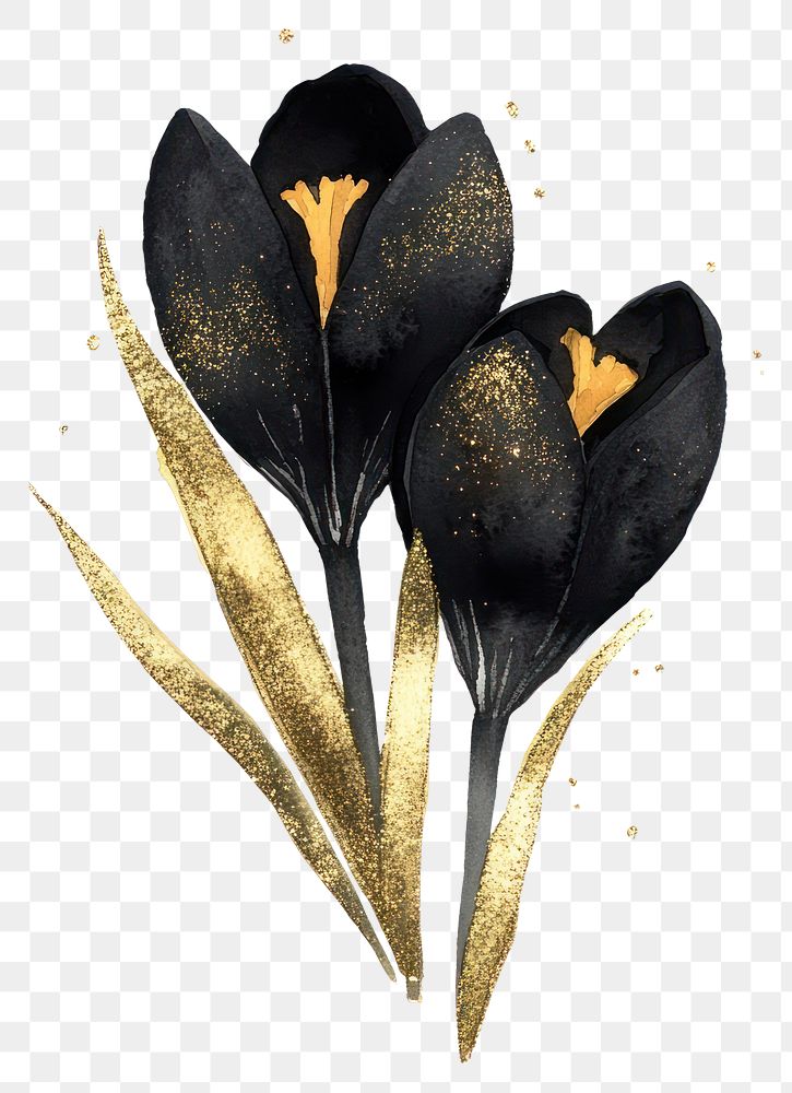 PNG Obsidian black crocus flowers gold art.