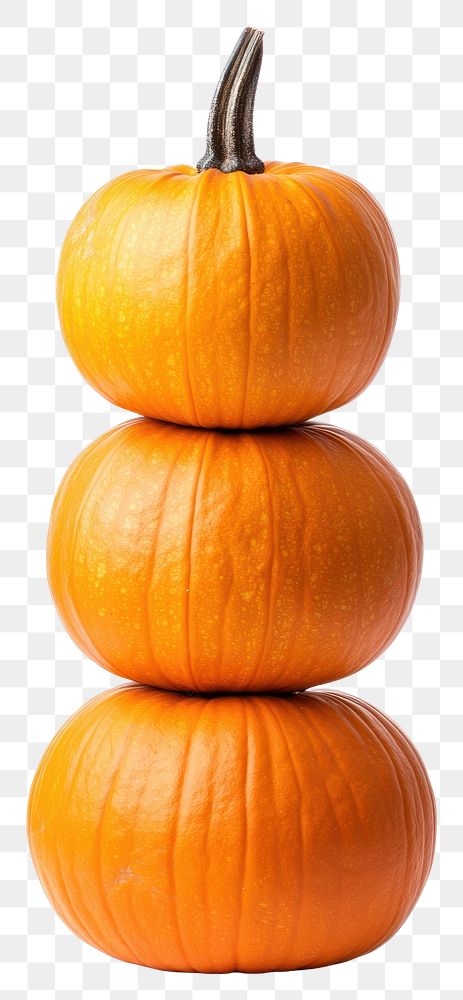 PNG Stack of 3 pumpkins background white white background.