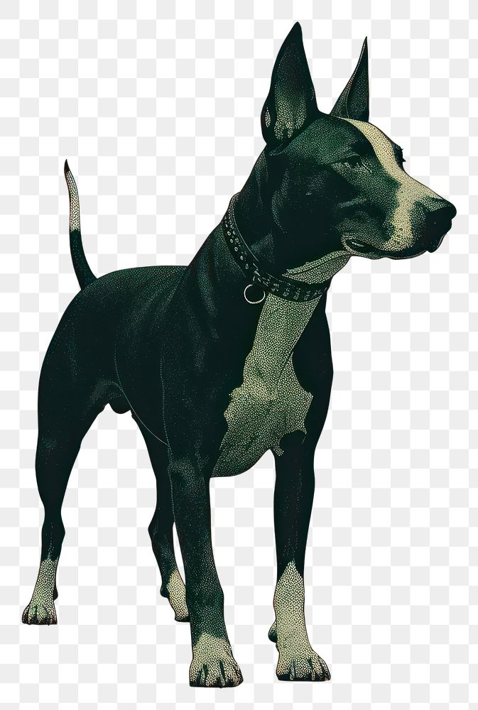 PNG Bull Terrier background design dog.