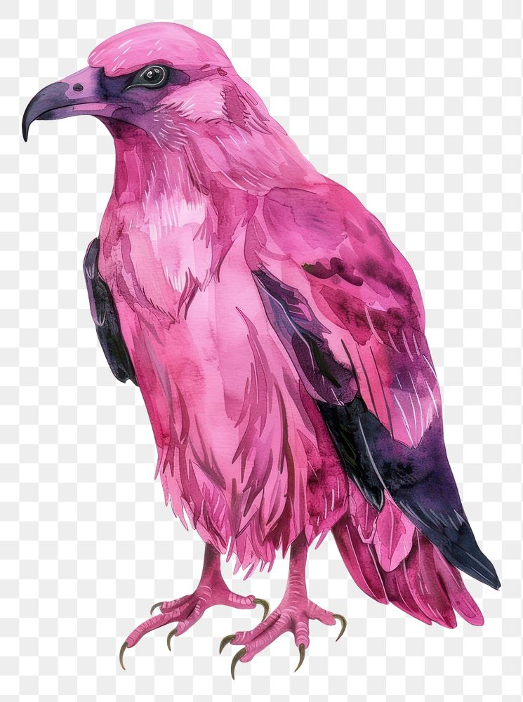 PNG Raven illustration watercolor colorful.