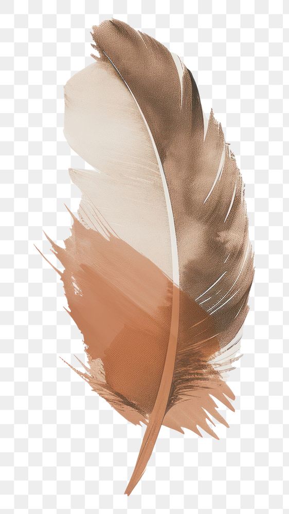 PNG Feather with a brown brush stroke lightweight creativity fragility.