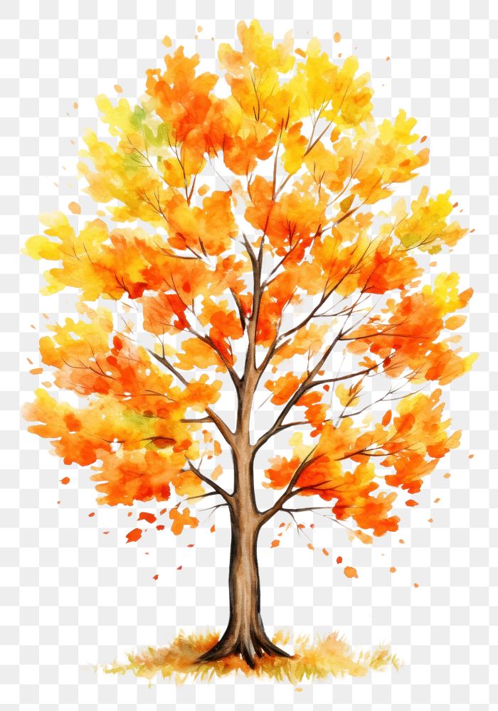 PNG  Autumn tree painting plant maple. AI generated Image by rawpixel.