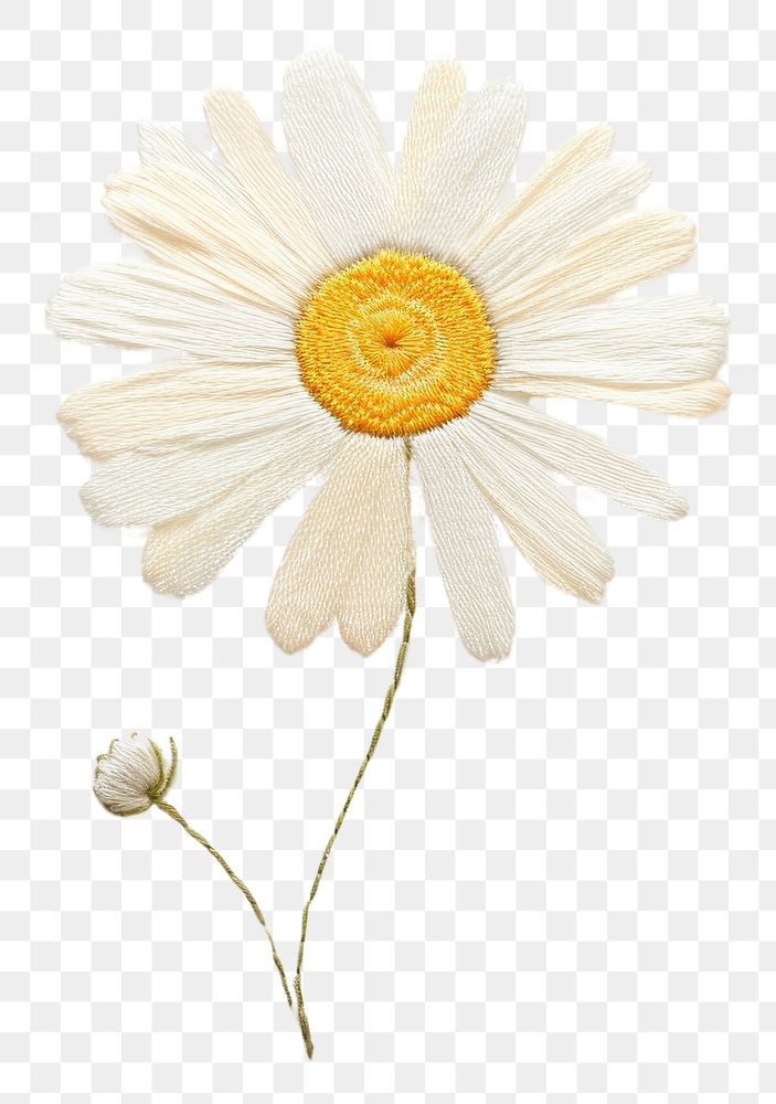 PNG Embroidery of daisy pattern flower petal.