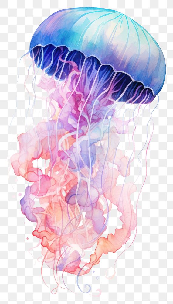 PNG Watercolor of jellyfish invertebrate underwater creativity.